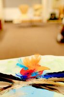 IMG_8306